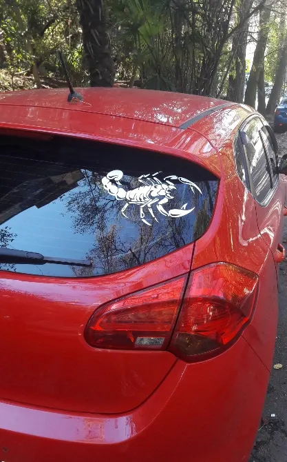 Наклейка на авто Скорпион Белый Киев - изображение 5