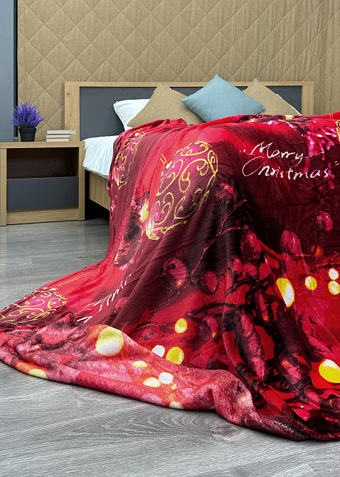 Плед-покрывало 200х230 см с рождественским принтом Разноцветный (87-323) Киев - изображение 6