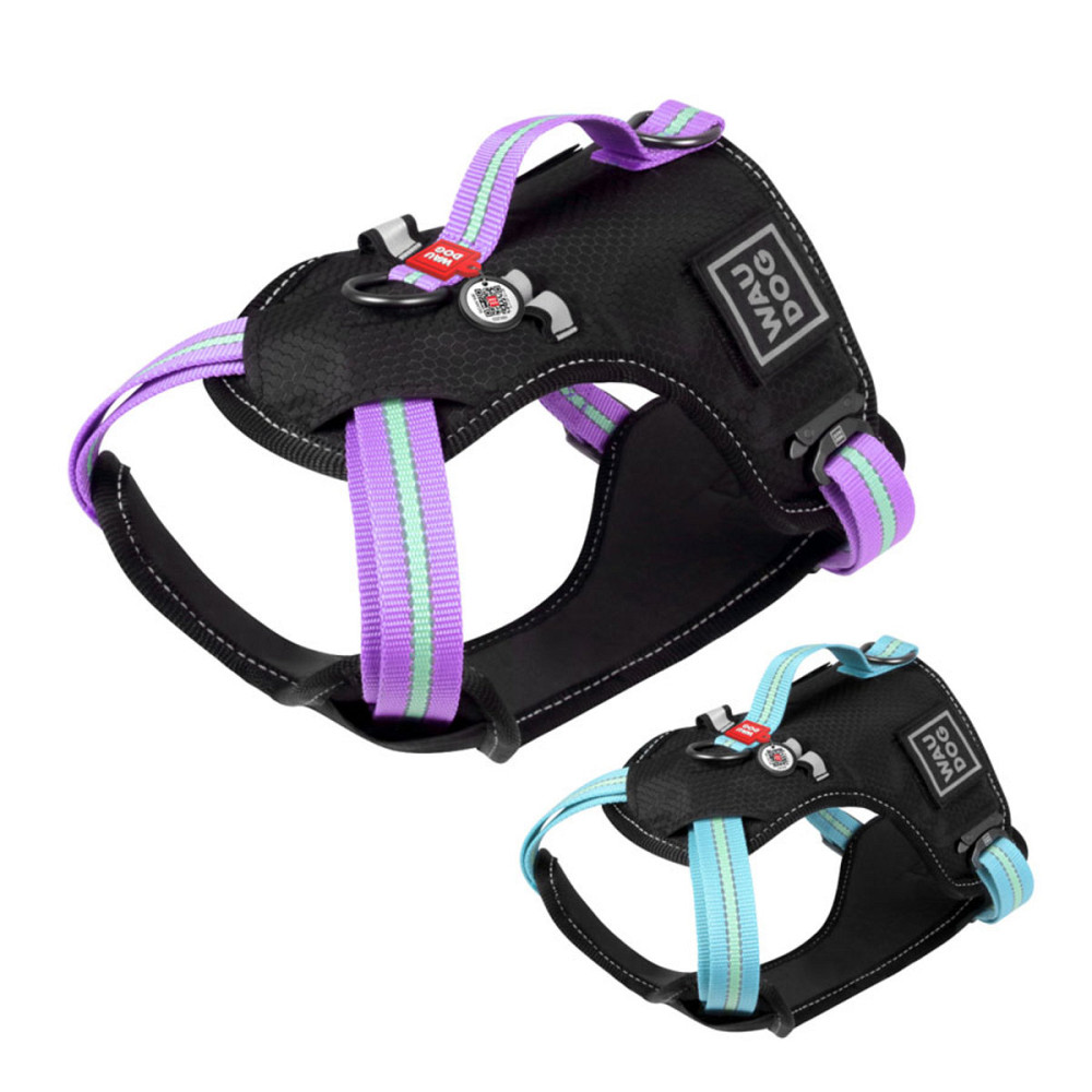 Moderna Pet Wisdom Trendy Story МОДЕРНА контейнер для хранения корма Киев - изображение 2