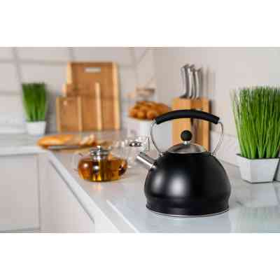 Чайник Ardesto Black Mars 3 л (AR0748KS) Винница