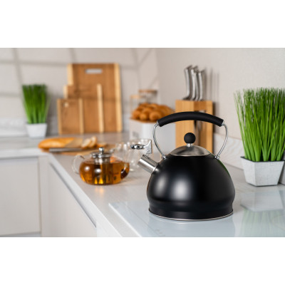 Чайник Ardesto Black Mars 3 л (AR0748KS) Вінниця - фото 5