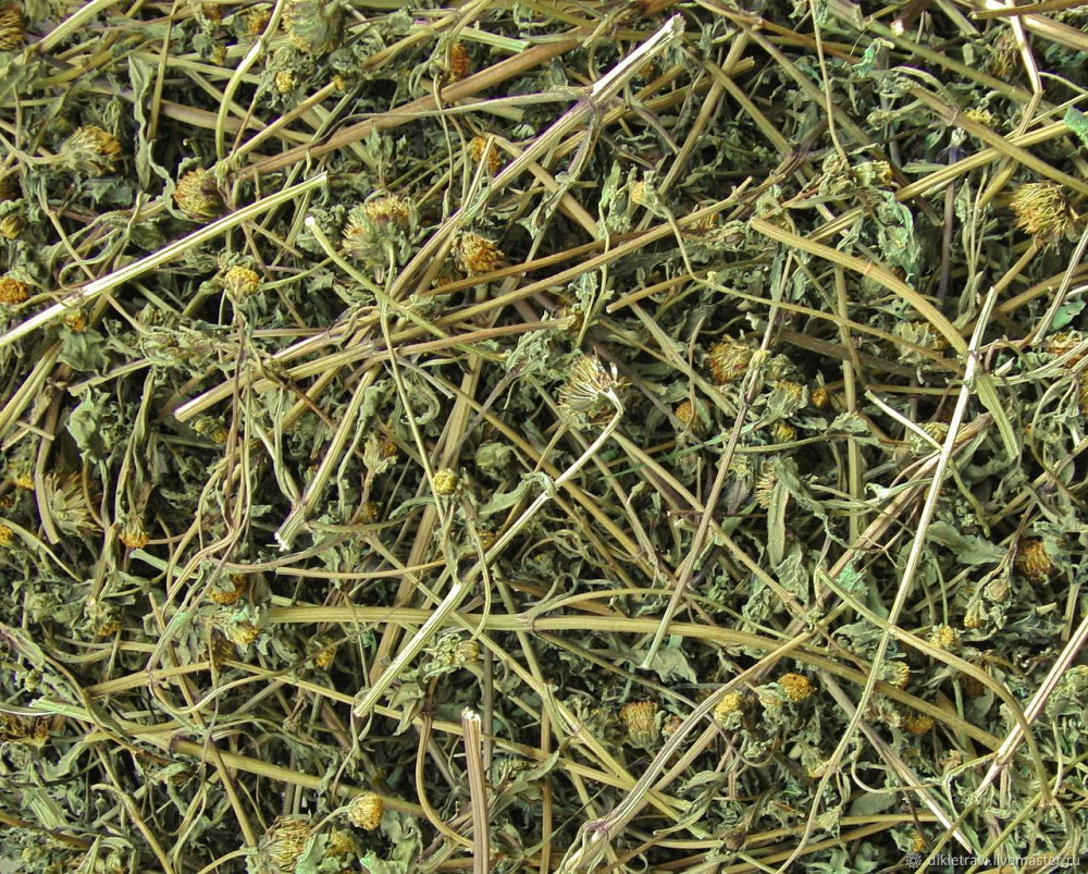 Череда трехраздельная (Причепа трироздільна), 100г master sem Киев - изображение 2