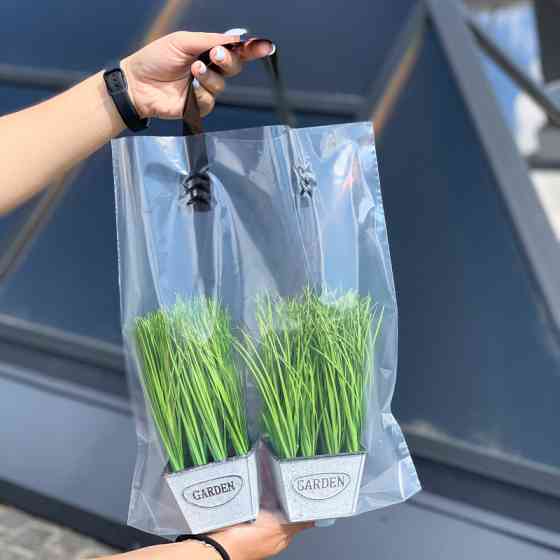 Пакет пищевой LDPE прозрачный, 30х35(+3)см, 60 мкм, с петлевой черной ручкой, (50 шт.) Павлоград