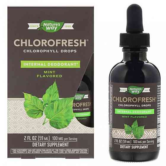 Хлорофил Nature's Way Chlorofresh Chlorophyll Drops 59 ml (Mint) Луцк