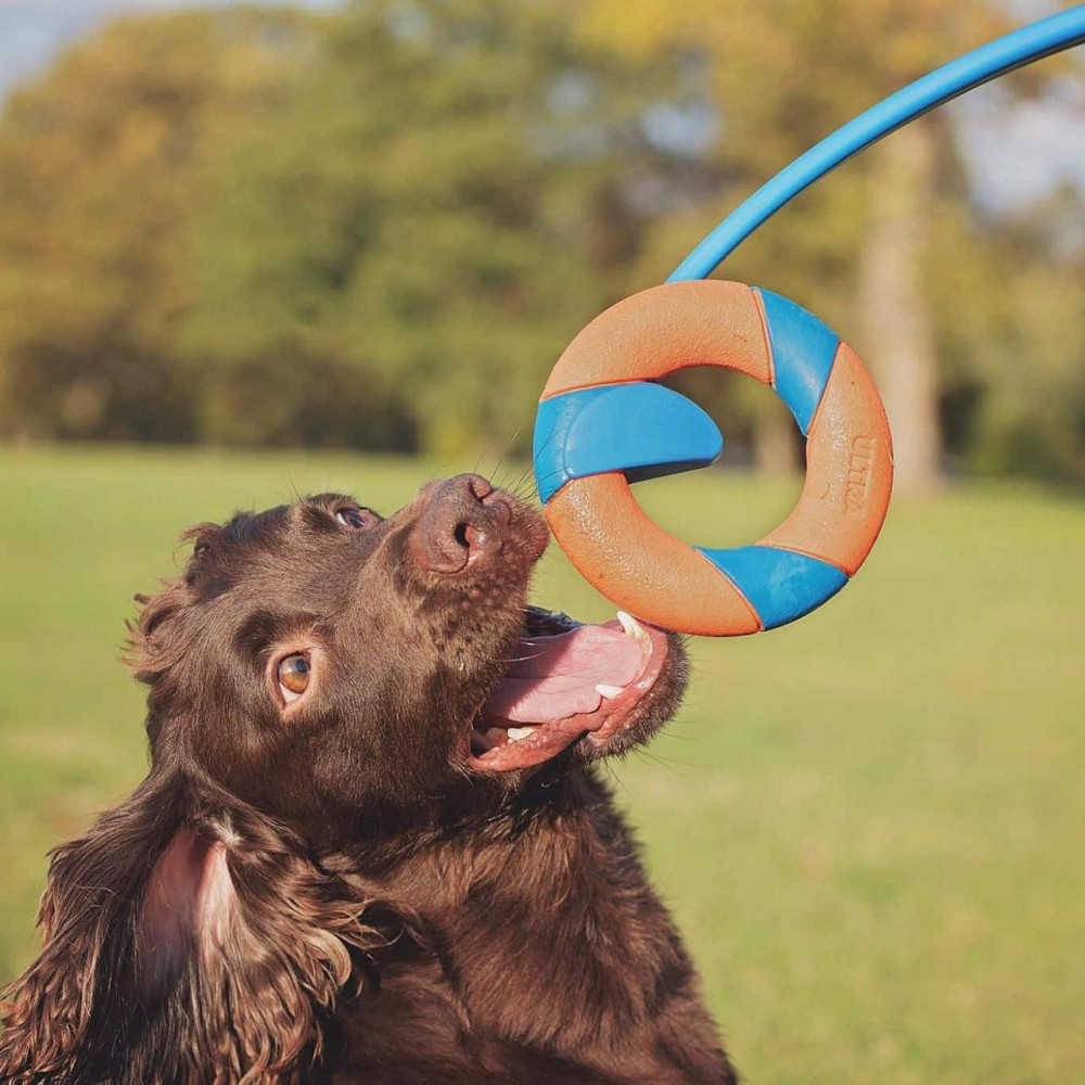 Катапульта с кольцом Chuckit! Ring Chaser Launcher игрушка для собак, диаметр Ø12,5 см Винница - изображение 7