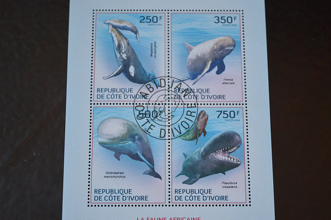 Кот-д'Івуар. История. Фауна. Блок. 2004 рік (Б-4) Полтава - фото 1