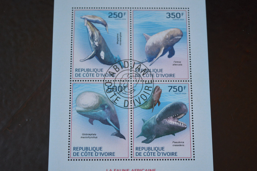 Кот-д'Ивуар. История. Фауна. Блок. 2004 год (Б-4) Полтава - изображение 1