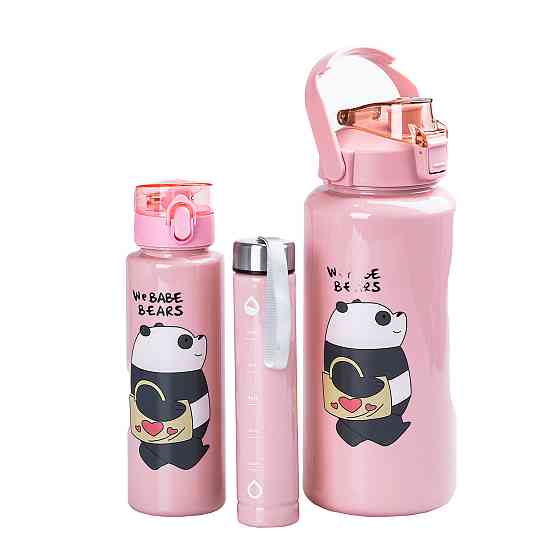 Набір пляшок 3 в 1 Панда з поїлкою і ручкою 0.3 (л) 0.7 (л) 2 (л) рожевий HPZSB120014P Коломия