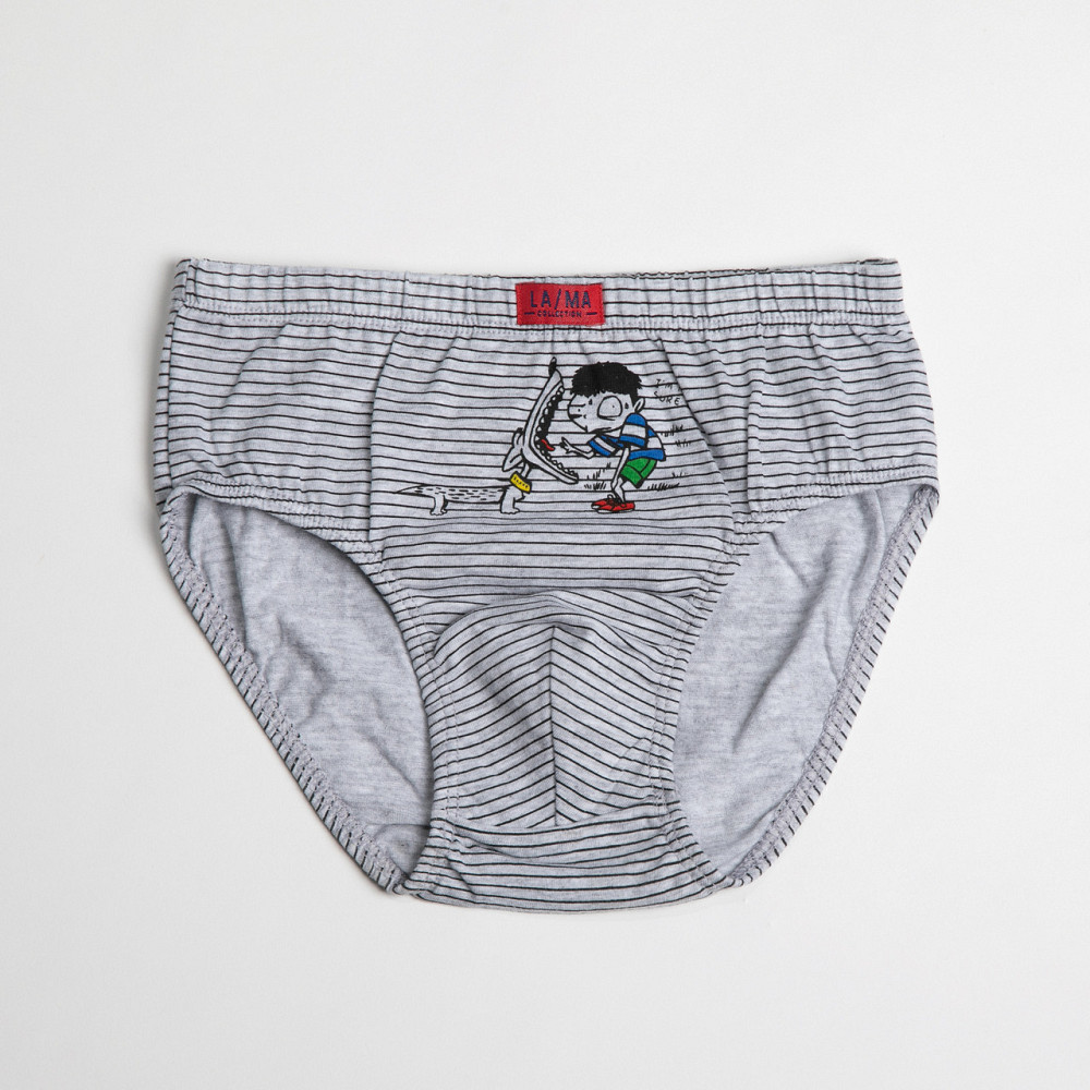 Детские трусики на мальчика (3шт в уп) Lama B-208 SD 134-140 Киев - изображение 4