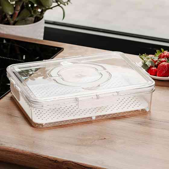 Контейнер для їжі з ручкою 31х24х7 см пластиковий харчовий контейнер 2.5 л HP-27-10 Коломия