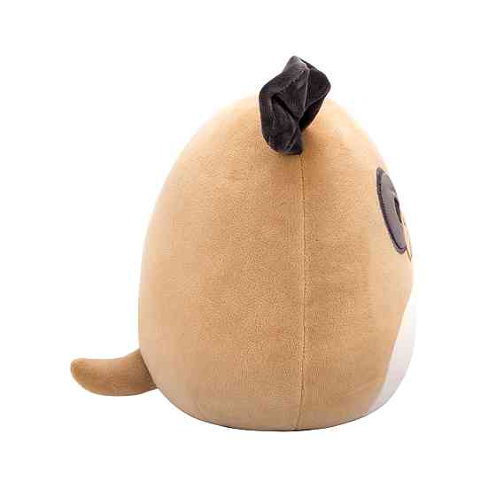 М'яка іграшка Squishmallows – Бульдог Лофер (19 cm) Днепр