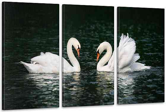 Модульная картина Пара Лебеди Аrt-182_3А1 100x150 см Киев