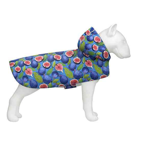 Дощовик-накидка з капюшоном для собак WAUDOG Clothes, малюнок "Інжир", XL, А 55-61 см, B 68-80 см, С 42-52 см Київ