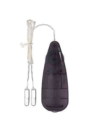 Мини-вибропули серебристые CHISA Hi-Basic Mini Twins Bullet с черным проводным пультом Sex Aura Киев