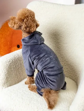 Костюм для собак велюровий Dogs Bomba з капюшоном трикотаж весна-осінь для середніх порід Кураж Графіт 8 Одеса