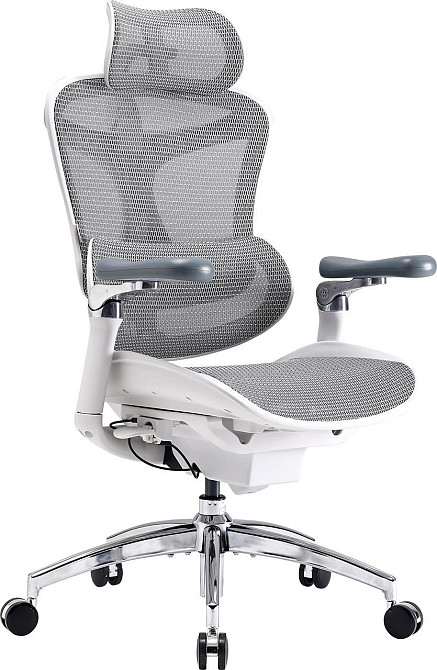 Крісло офісне Sihoo Doro C300 Pro Mesh White (DORO-C300-PRO-M102) ( 11715 ) Харків - фото 15