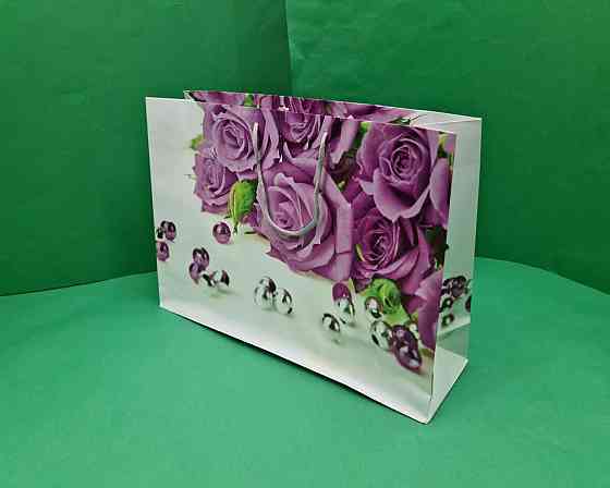 Паперовий великий горизонтальний пакет 36/22/10 (артBG-001) (12 шт.) Харків