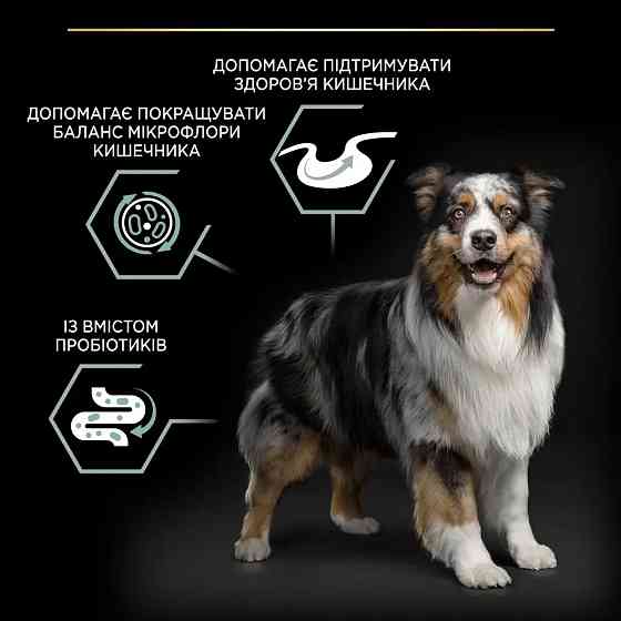 Сухий корм PRO PLAN Medium Adult 1+ Sensitive Digestion для дорослих собак середніх порід, з чутливим травленням, з ягням, 14 кг Київ