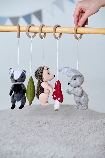 Детский тренажер WoollyFox 