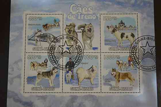 Гвінея - Бісау. Марки. Фауна. Блок. 2009 рік (В-5) Полтава