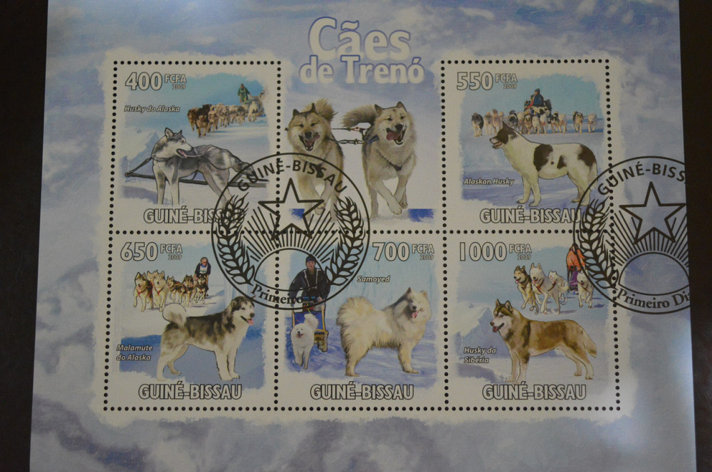 Гвинея - Бисау. Марки. Фауна. Блок. 2009 год (В-5) Полтава - изображение 1