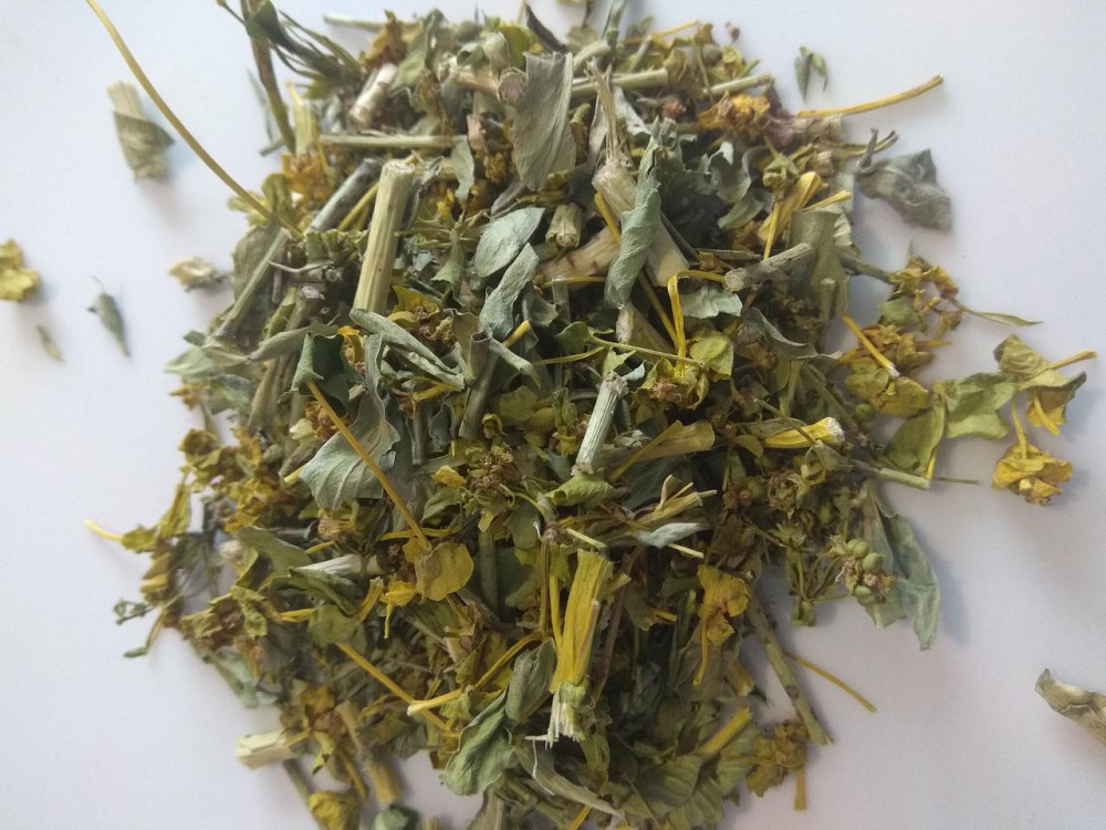 Володушка золотиста (трава), 1кг. Київ - фото 1