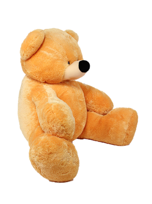 Плюшевый медведь Алина 200 см медовый Киев - изображение 2