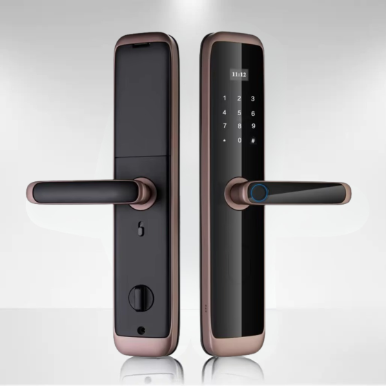 Розумний дверний замок кодовий з відбитком пальця і ключ-карткою KHS-X06, бронзовий Кам'янець-Подільський