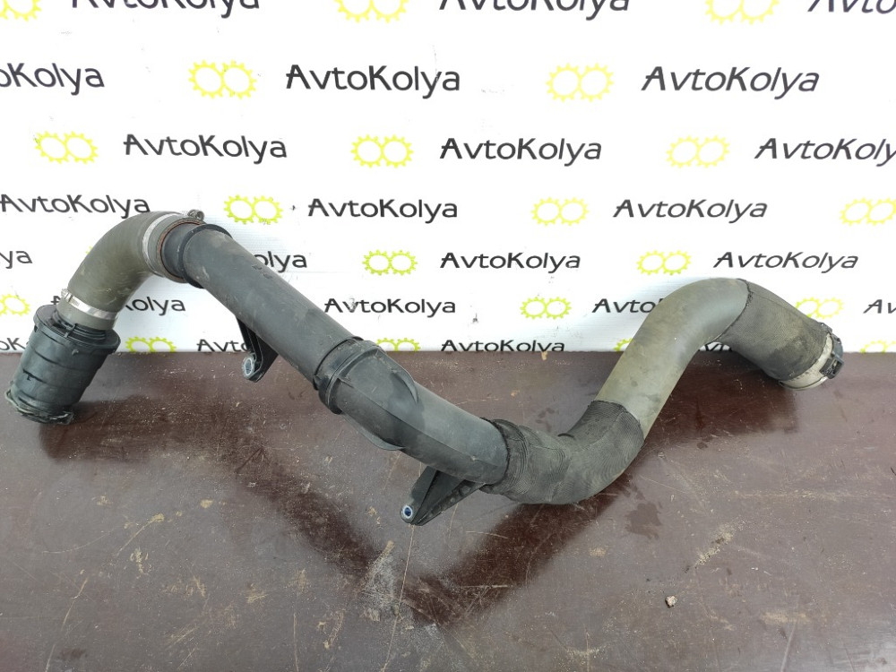 Патрубок інтеркулера Renault Scenic III 1.6 dci 2009-2016 (1073746S01) Ковель - фото 1
