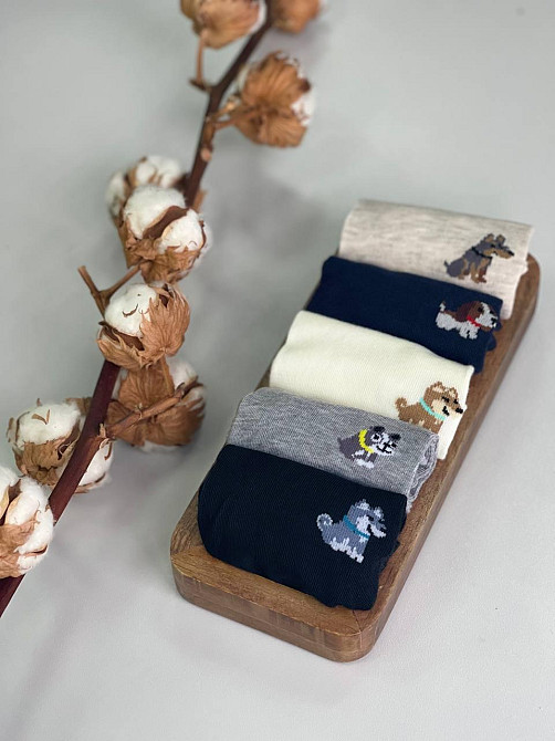 Набор коротких носочков 80% коттон 5 пар р.41-47 Черновцы - изображение 3