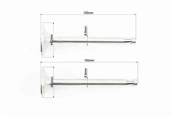 Клапан впускний (h-120; D-44,2; d-8,9), випускний (h-120; D-38,2; d-8,9) к-кт ZH1105 Київ
