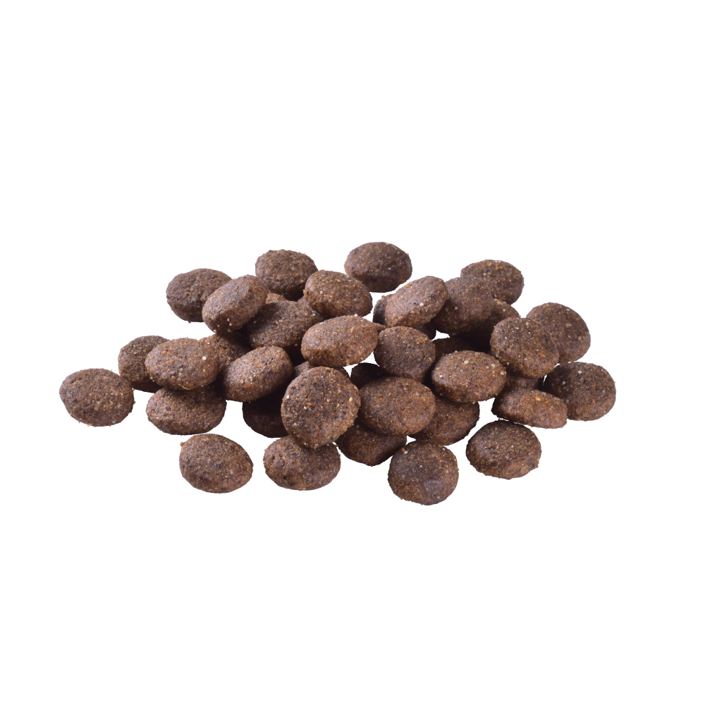 Сухой корм Brit Care Dog Grain-free Junior Large Breed для молодых собак больших пород, беззерновой с лососем, Винница - изображение 3