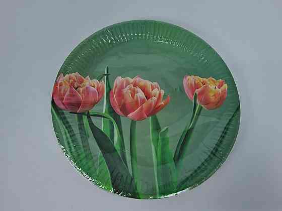 Тарілка паперова 23 см "No66 10 шт (1 пачка) Харків