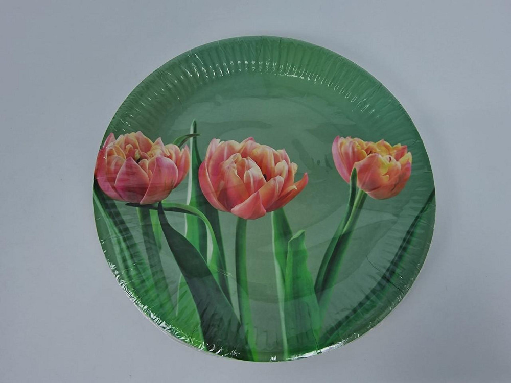 Тарелка бумажная 23см