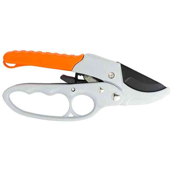 Flora Секатор с храповым механизмом 200мм FLORA (5021354) Киев