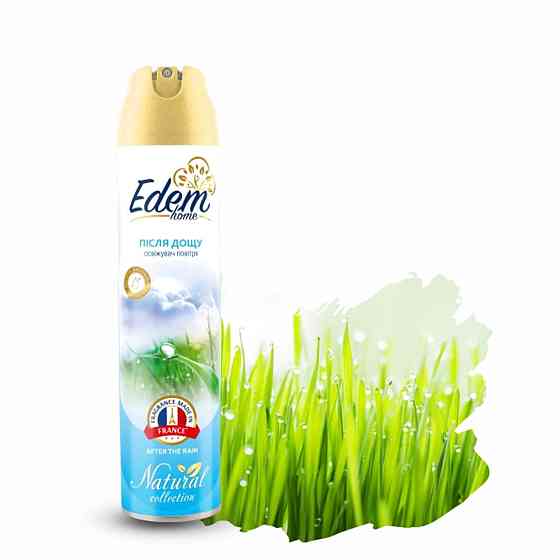 Освіжувач повітря Edem Home Після дощу, 300мл EH550137 Киев