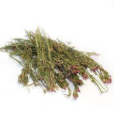 Золототысячник , 1кг. MasterSEM Киев - изображение 1