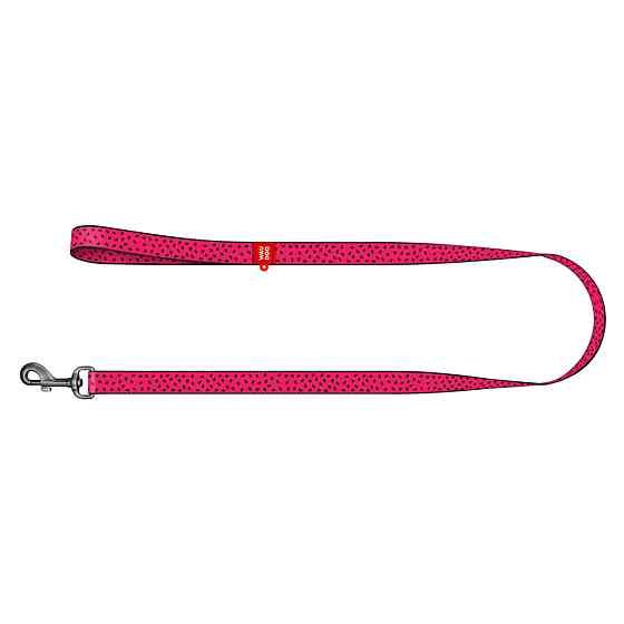 Поводок для собак нейлоновый WAUDOG Nylon, рисунок 
