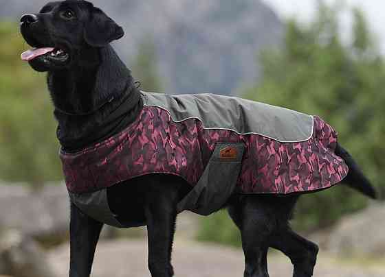 Куртка для собак BlackDoggy (Блекдоги) VC14-JK023 L, Бордовий Запоріжжя
