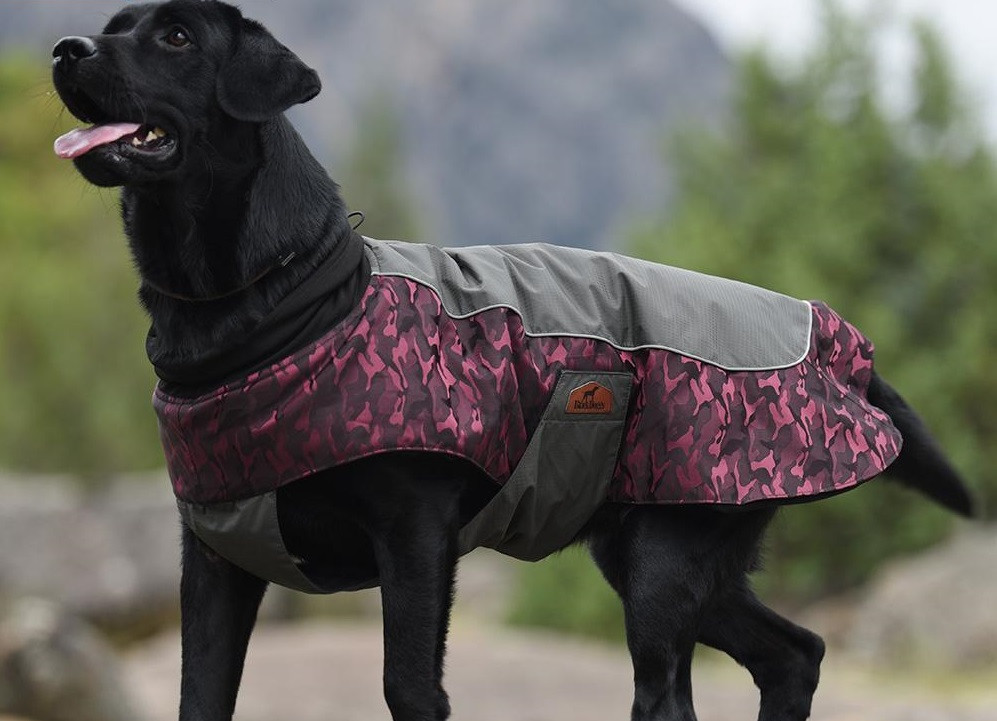 Куртка для собак BlackDoggy (БлекДогги) VC14-JK023 L, Бордовый Запорожье - изображение 3