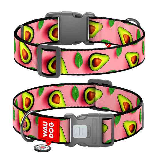 Нашийник для собак нейлоновий WAUDOG Nylon з QR паспортом, малюнок "Авокадо на рожевому", пласт Коломия