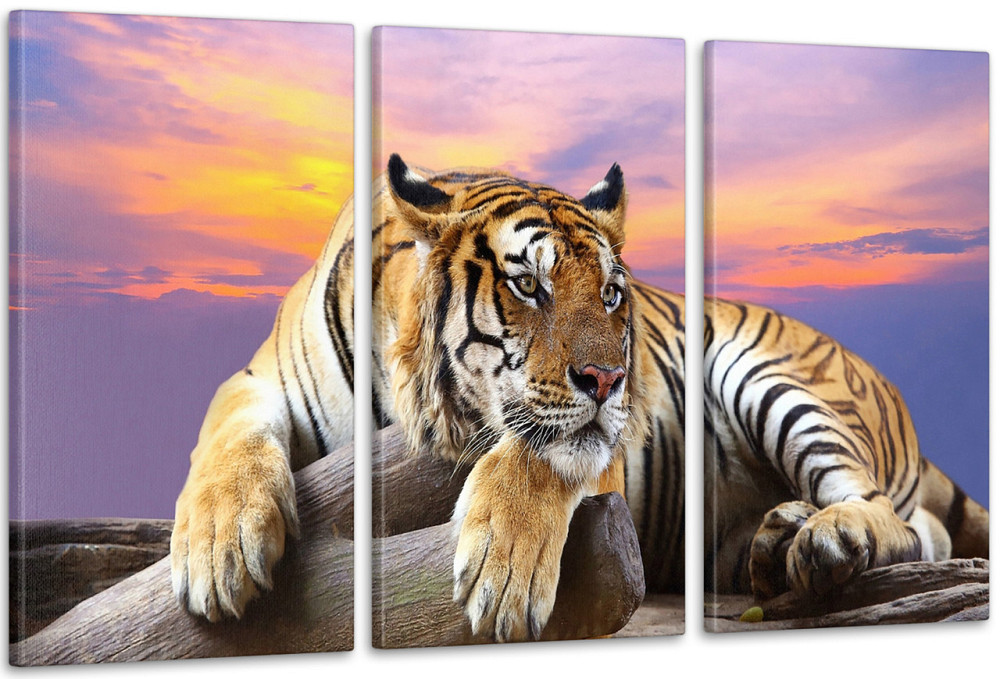 Модульна картина Тигр Аrt-209_3А Київ - фото 1