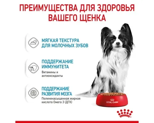 Royal Canin X-Small Puppy (Роял Канін Паппі) вологий корм для цуценят дрібних порід 2-10 міс. 85 г. х 12 шт. 85 г х 12 шт Запоріжжя - фото 4