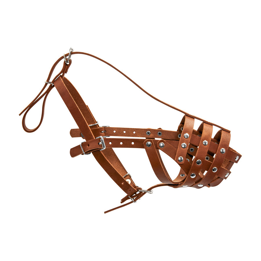 Намордник твердий "CoLLaR" (доберман, вівчарка мала, далматин, сеттер малий) коричневий Коломыя - изображение 1