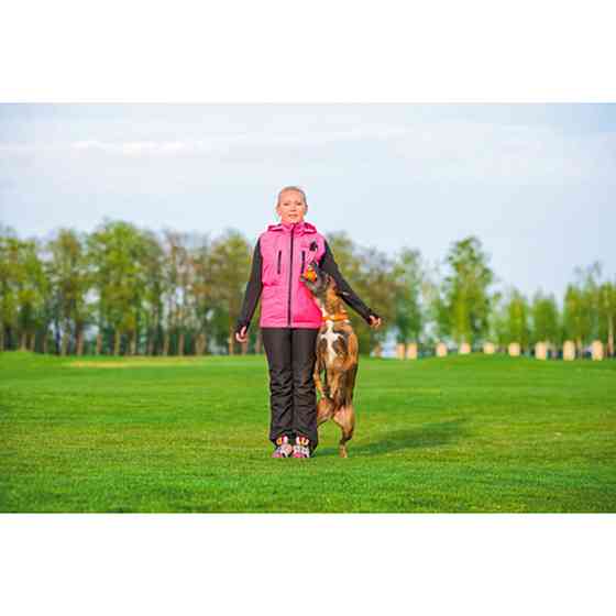 М'ячик ЛАЙКЕР7 Магніт з комплектом магнітів (діаметр 7см) Київ