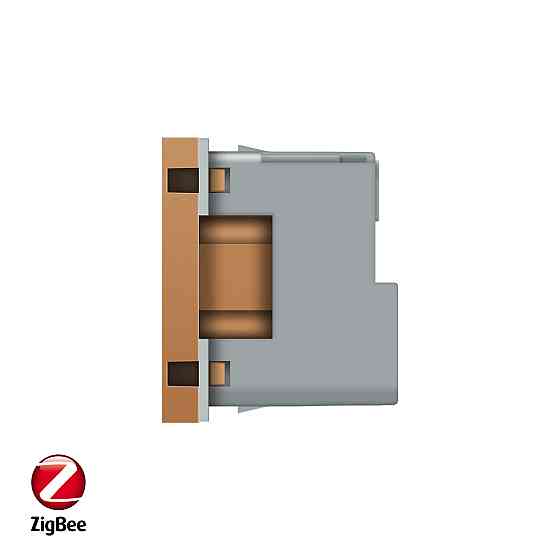 LIVOLO Розумна розетка LIVOLO ZigBee, з заземленням, золота, 16А 230В, керування через Alexa / Коломия