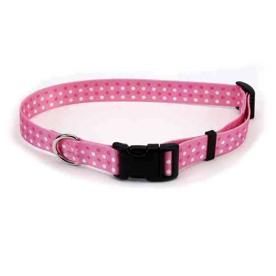 Coastal Pet Attire Styles КОСТАЛ СТАЙЛС ошейник для собак, 2х35-50см Киев