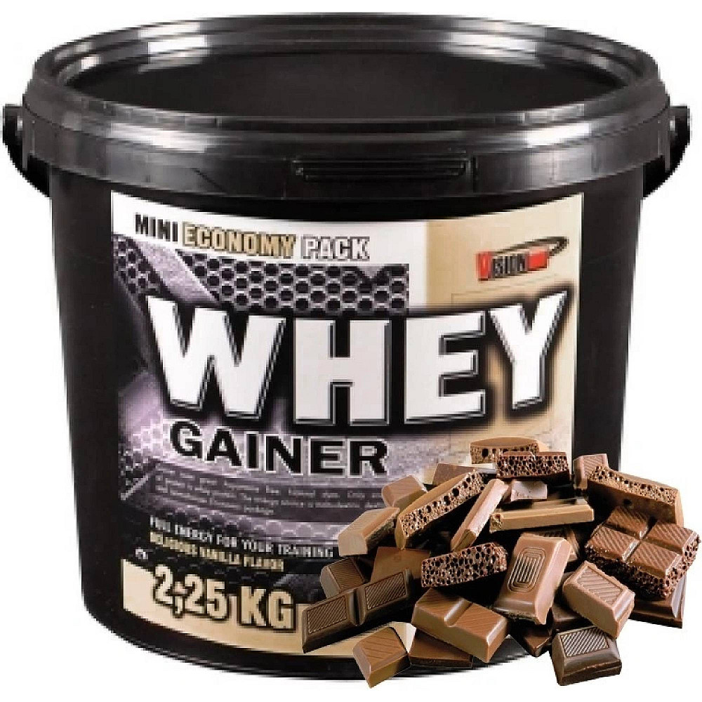 Гейнер Vision Nutrition Whey Gainer 2.25 кг, Chocolate Луцк - изображение 1