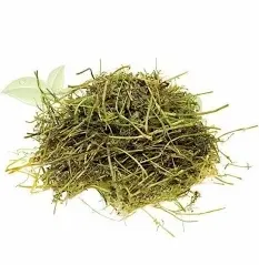 Дымянка лекарственная (Рудка лікарська), 100г master sem Киев - изображение 1