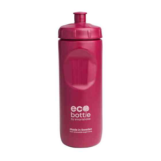 EcoBottle Squeeze (650 ml, deep rose) Луцьк
